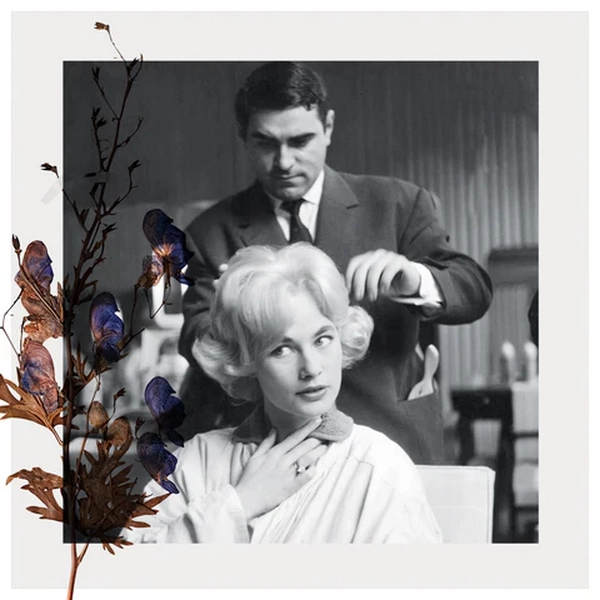 پاتریک آلِس: خالق و بنیانگذار فیتو